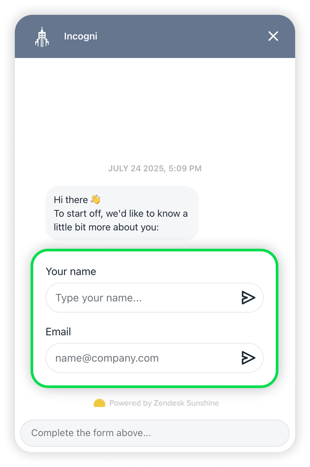 View of incogni's live chat, your name and email fields are highlighted.png
